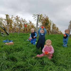 OKTOBER PRI PAGLAVCIH