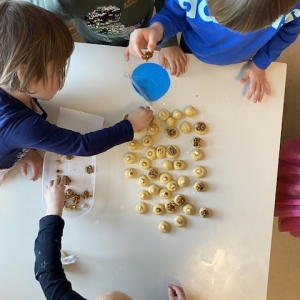 Peka piškotov pri Vevericah