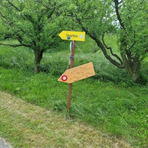 Pohod Ringa raja iz Vrhovlja proti Sabotinu