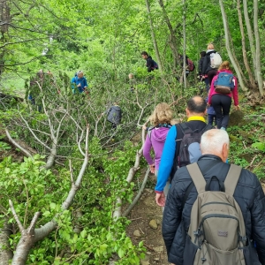 Pohod Ringa raja iz Vrhovlja proti Sabotinu