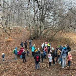 3. Pohod Ringa raja 3. Pohod Ringa raja