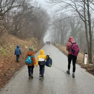 3. Pohod Ringa raja 3. Pohod Ringa raja