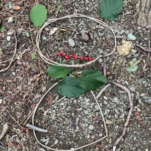 Tradicionalni pohod z “nonami in nonoti” Tradicionalni pohod z “nonami in nonoti”