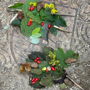 Tradicionalni pohod z “nonami in nonoti” Tradicionalni pohod z “nonami in nonoti”