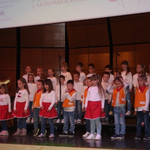 Festival pesmi in plesa Festival pesmi in plesa