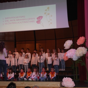 Festival pesmi in plesa Festival pesmi in plesa