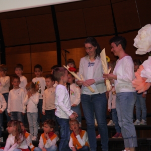 Festival pesmi in plesa Festival pesmi in plesa