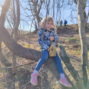 Ptičje krmilnice v bralnem kotičku v gozdu Ptičje krmilnice v bralnem kotičku v gozdu