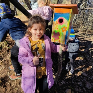 Ptičje krmilnice v bralnem kotičku v gozdu Ptičje krmilnice v bralnem kotičku v gozdu