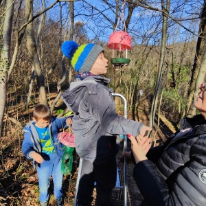 Ptičje krmilnice v bralnem kotičku v gozdu Ptičje krmilnice v bralnem kotičku v gozdu