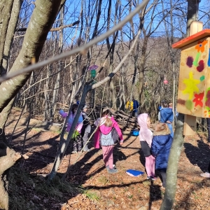 Ptičje krmilnice v bralnem kotičku v gozdu Ptičje krmilnice v bralnem kotičku v gozdu
