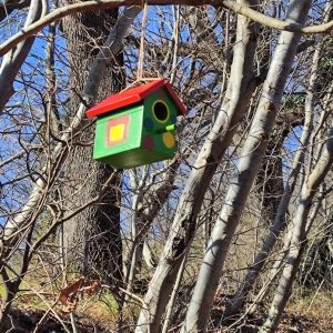 Ptičje krmilnice v bralnem kotičku v gozdu Ptičje krmilnice v bralnem kotičku v gozdu