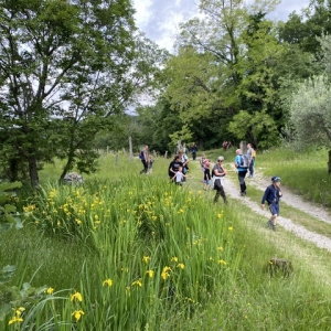 4. POHOD RINGA RAJA 4. POHOD RINGA RAJA