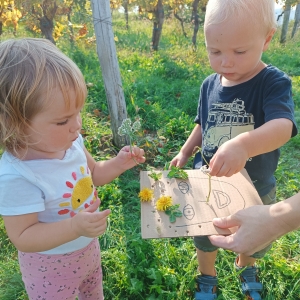 Pohod z nonami in nonoti Pohod z nonami in nonoti