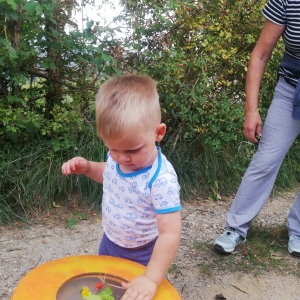 Pohod z nonami in nonoti Pohod z nonami in nonoti