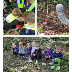 Lov na jesenski zaklad Lov na jesenski zaklad