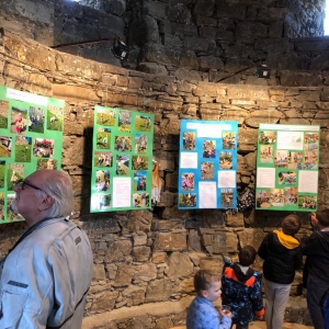 Projekt Zeleni nahrbtnik Projekt Zeleni nahrbtnik