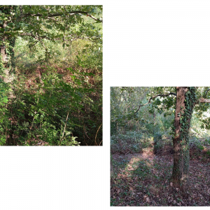 Pravljični kotiček pod mogočnim hrastom Pravljični kotiček pod mogočnim hrastom