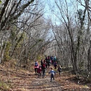 DRUGI POHOD RINGA RAJA OD KRAJA DO KRAJA DRUGI POHOD RINGA RAJA OD KRAJA DO KRAJA