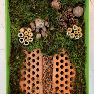 TRAJNOST PRI MEDVEDKIH TRAJNOST PRI MEDVEDKIH