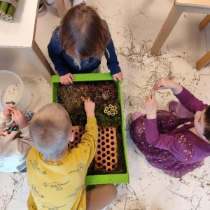 TRAJNOST PRI MEDVEDKIH TRAJNOST PRI MEDVEDKIH