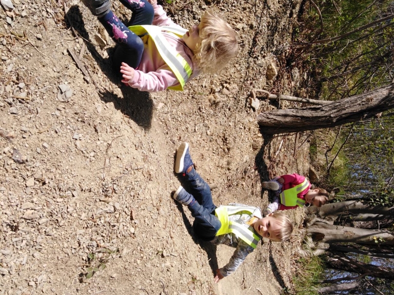 Dnevi v gozdičku Žogice