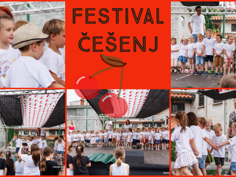Festival češenj