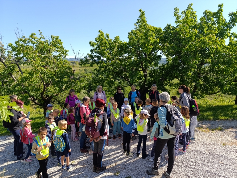 Na pohodu z upokojenkami