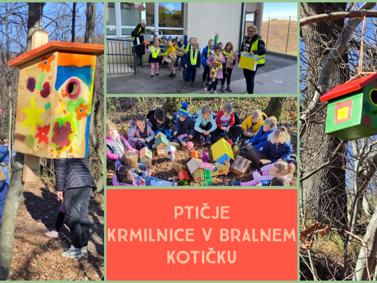 Ptičje krmilnice v bralnem kotičku v gozdu