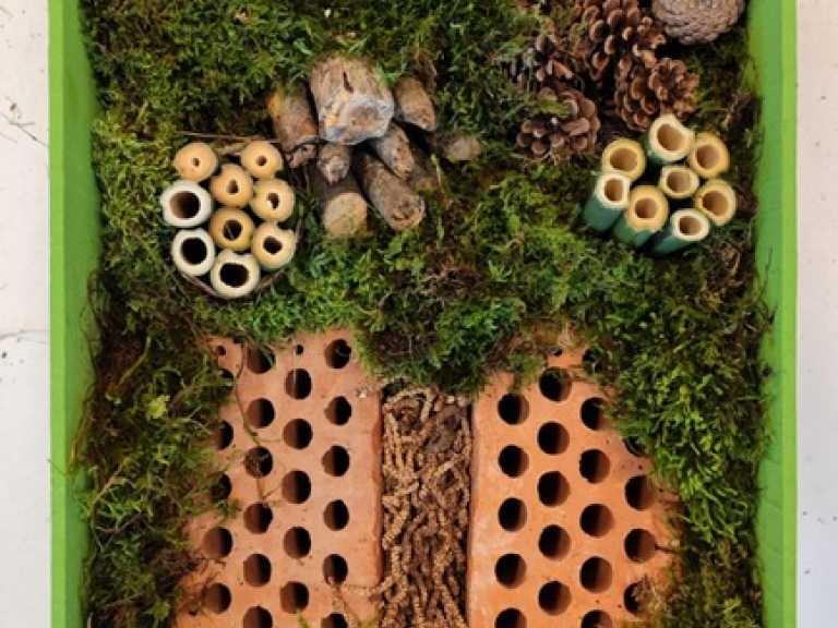 TRAJNOST PRI MEDVEDKIH